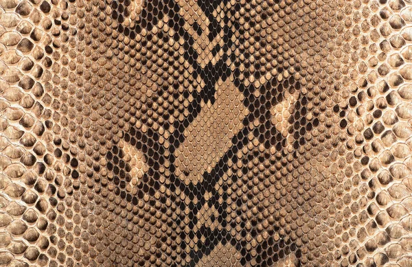 Tecido reticulado Stock Photos, Royalty Free Tecido reticulado Images ...