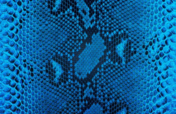 Сетчатая Кожа Питона Качестве Фона Голубая Змея — стоковое фото