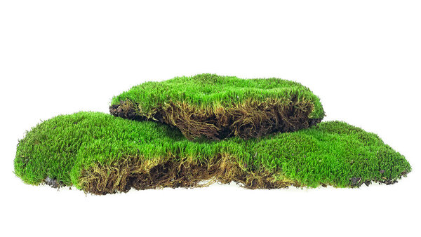 Green moss isolated on a white background. Mossy hill.
