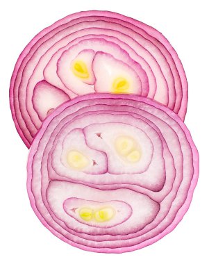 Taze menekşe soğan halkaları beyaz zemin üzerinde izole, üst görünüm.