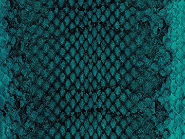 Esmer yılan derisi dokusu, arka plan olarak. Doğal sürüngen derisi..