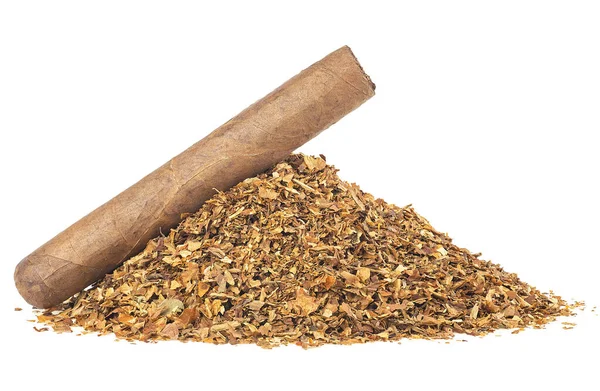 Dried Tobacco Leaves Brown Cigar Isolated White Background — Foto de Stock