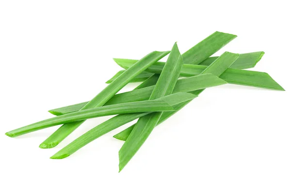 Pieces Green Onion Isolated White Background Young Green Onion Chives — Photo