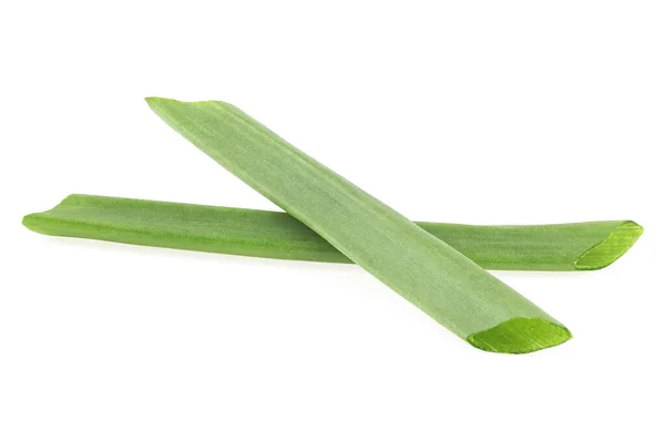 Chives Isolated White Background Young Green Onion — 图库照片