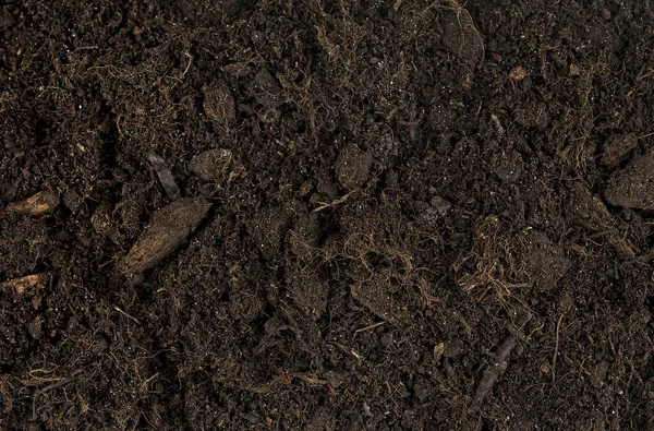 Fertile Soil Texture Background Top View Gardening Planting Concept Natural — kuvapankkivalokuva
