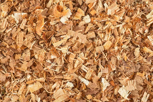 Pile Small Sawdust Wood Shavings Background — Stock fotografie