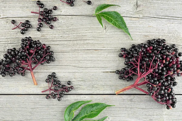 Sambucus Nigra Black Elderberry Fruits Wooden Background Top View European — Stock Photo, Image