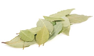 Aromatik körfez defne yaprakları beyaz bir arkaplan üzerinde izole, ön manzara.