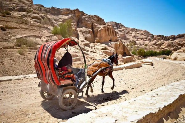 Savaş arabası içinde gorge # 3 — Stok fotoğraf