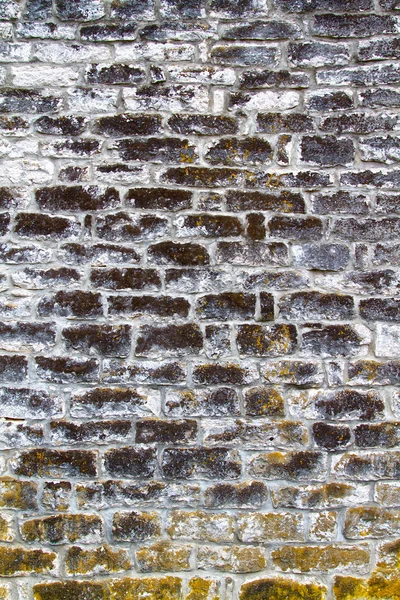 Fundo Parede Textura de uma fachada de seção antiga — Fotografia de Stock