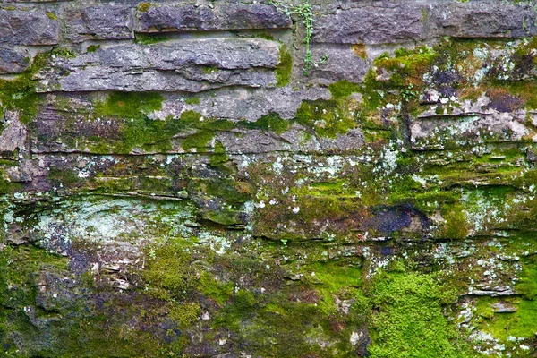 Fundo Parede Textura de uma fachada de seção antiga — Fotografia de Stock