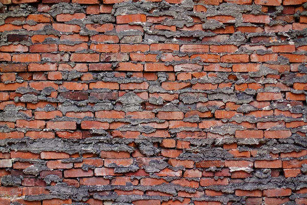 Fondo Pared Textura de una antigua fachada de sección — Foto de Stock