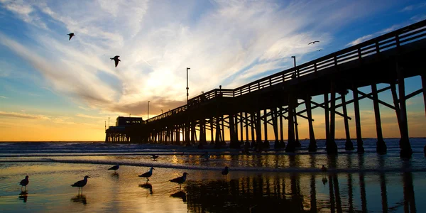 Newport beach piren i Kalifornien vid solnedgången i den gyllene siluetten — Stockfoto