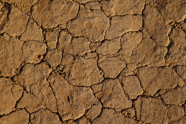 Tierra seca agrietada y suciedad con granos de arena Imagen De Stock