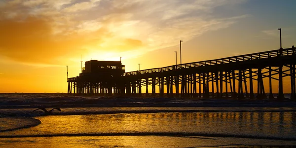 Newport beach california sunset golden siluet olarak rıhtımda Stok Resim