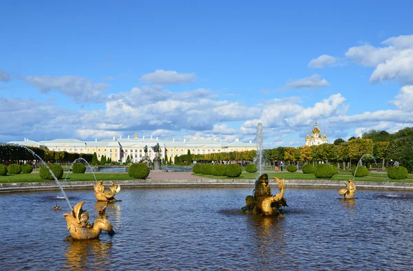 PETERHOF, RUSSIA, 06 SETTEMBRE 2012. Scena russa: persone che camminano vicino alle fontane nel parco superiore di Peterhof — Foto Stock