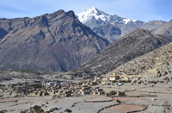 Nepal, vandring runt anapurna. gamla byn ngval. — Stockfoto