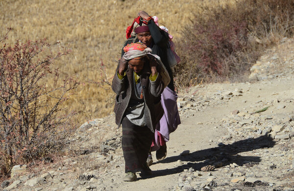 Непал, гуляет по Анапурне. Женщины деревни Нгваль
.