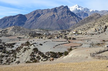 nepal, Anapurna doğa yürüyüşü. eski köy ngval.