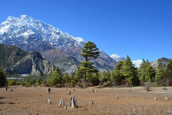 Nepal, vandring runt anapurna. — Stockfoto