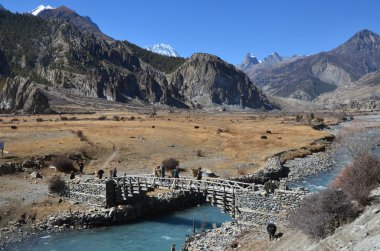 nepal, Anapurna doğa yürüyüşü.