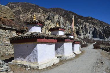 nepal, Anapurna doğa yürüyüşü.