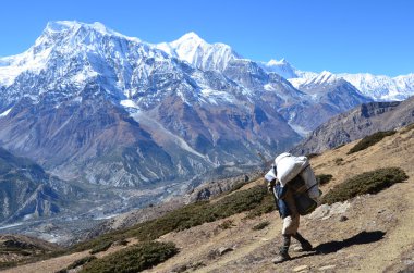 nepal, Anapurna doğa yürüyüşü.