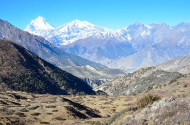 nepal, Anapurna doğa yürüyüşü.