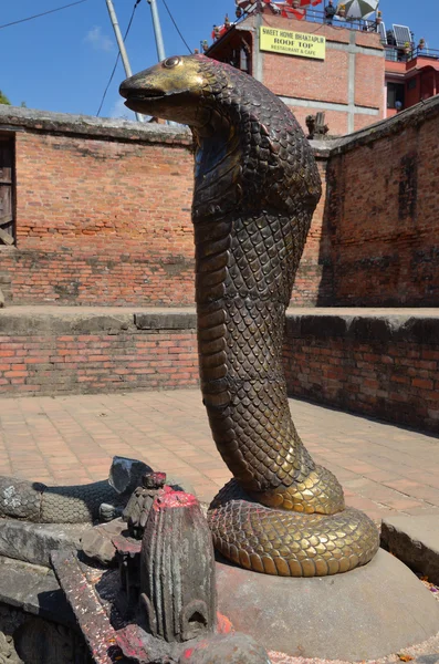 Il serpente custodisce il serbatoio nel Palazzo Reale sulla piazza Durbar a Bhaktapur — Foto Stock