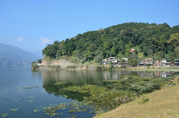 Nepal, Pokhara, Lago Fewa (Pheva) . — Fotografia de Stock