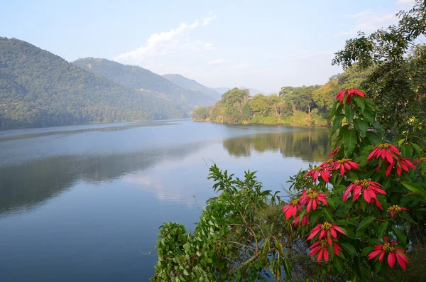 Nepal, Pokhara, Lago Fewa (Pheva) . — Fotografia de Stock