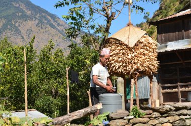 nepal, Himalayalar'da trekking. samye hamlet. adam kadar su alır.