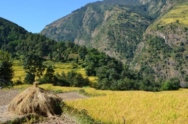 nepal Himalayaların eteklerinde