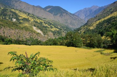 nepal Himalayaların eteklerinde