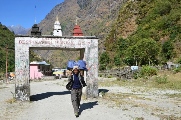 Népal, randonnée dans l'Himalaya, région de Manang. Porter transporte un chargement de touristes . — Photo