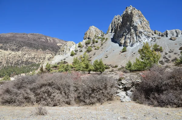 Nepál trekking kolem Anapurna památkovou rezervací. — Stock fotografie