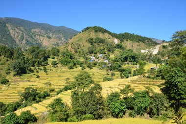 nepal Himalayaların eteklerinde