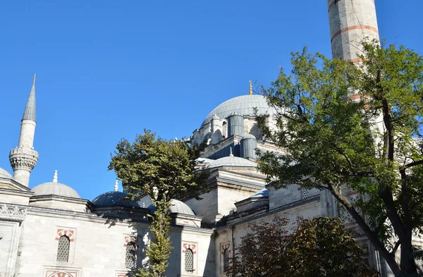 Istanbul, beyazit camii (moskén). — Stockfoto
