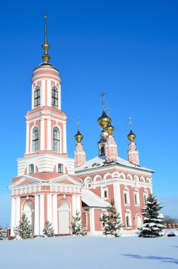 suzdal, mihail arhangel Kilisesi. Rusya'nın altın yüzük.