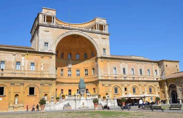 Pine yard in Vatican City. — Stock Photo, Image