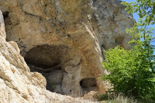 Rusya, adygeya, ilkbaharda dağ manzarası. Rock 