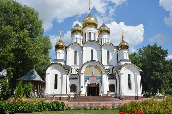 俄罗斯，佩 zalessky、 皲裂皲裂修道院教堂 — 图库照片