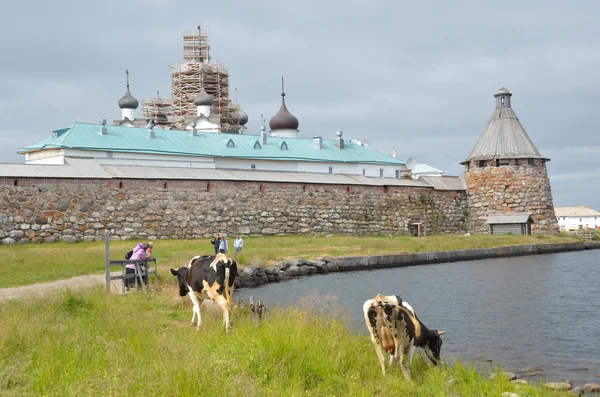 Rússia, Mosteiro de Solovetsky — Fotografia de Stock