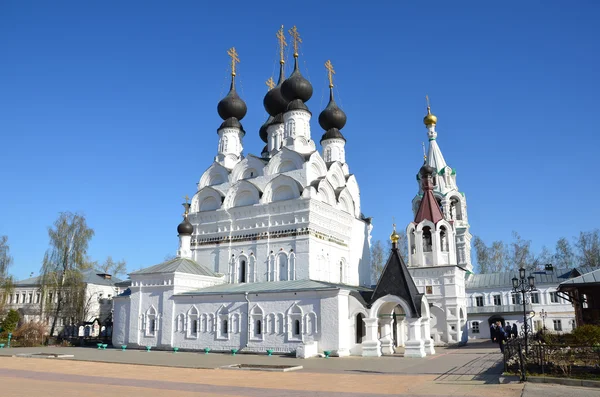 Свято-Троицкий монастырь — стоковое фото