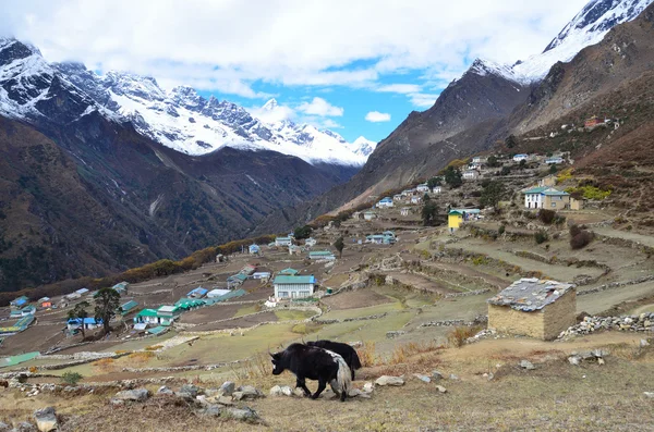 Nepal, os Himalaias, a aldeia de Phorse Tenga — Fotografia de Stock