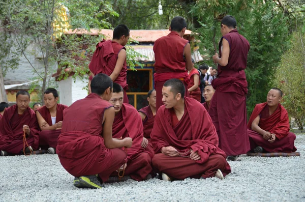 Tibet, the famous debate monks in Sera monastery near Lhasa — Stock Photo, Image