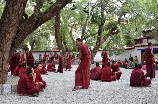 Tibet, berömda debatten munkarna i sera kloster nära lhasa — Stockfoto