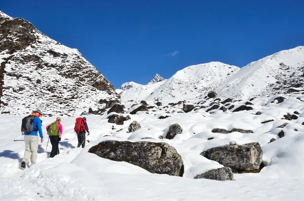 Nepal, trekking en el Himalaya, turistas en el sendero —  Fotos de Stock