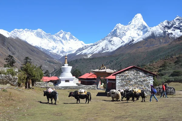 尼泊尔喜马拉雅山、 佛教寺院在 tyanboche 的村庄. — 图库照片