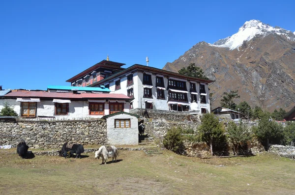 Nepal, Himalaya, buddhistisches Kloster im Dorf Tyanboche. — Stockfoto